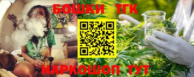 шишки Новозыбков