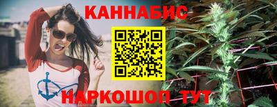 шишки Новозыбков
