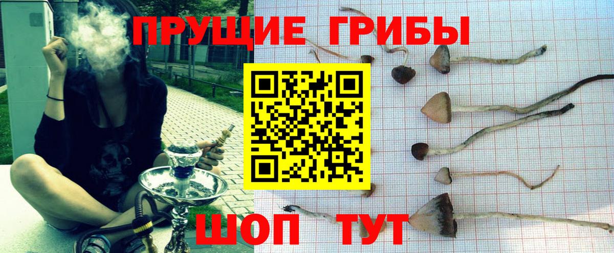 Псилоцибиновые грибы GOLDEN TEACHER Рязань