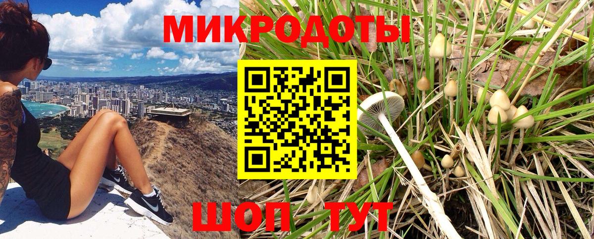 Галлюциногенные грибы GOLDEN TEACHER  купить наркотики цена  Вход с VPN  Рязань  Псилоцибиновые грибы Magic Shrooms 